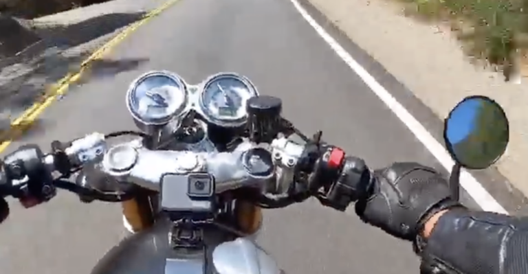 Screenshot 2026-03-29 at 22.35