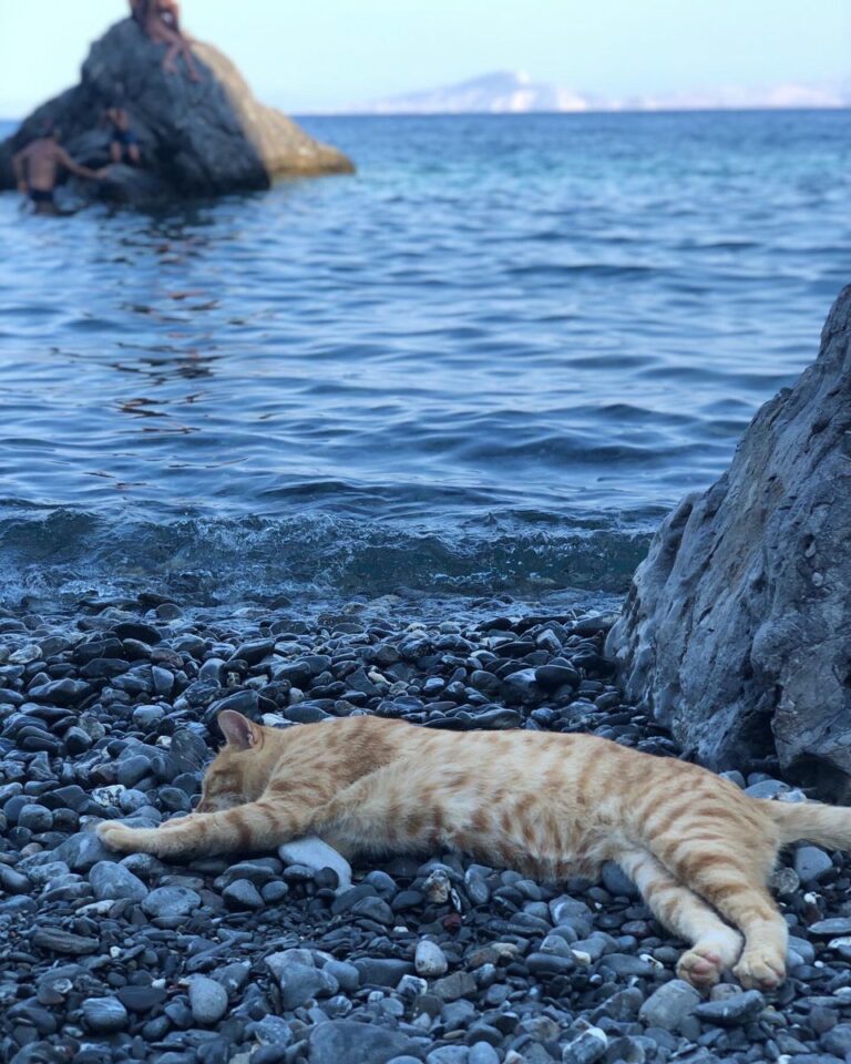 3ef059122a624be2ab46bf018cd72595