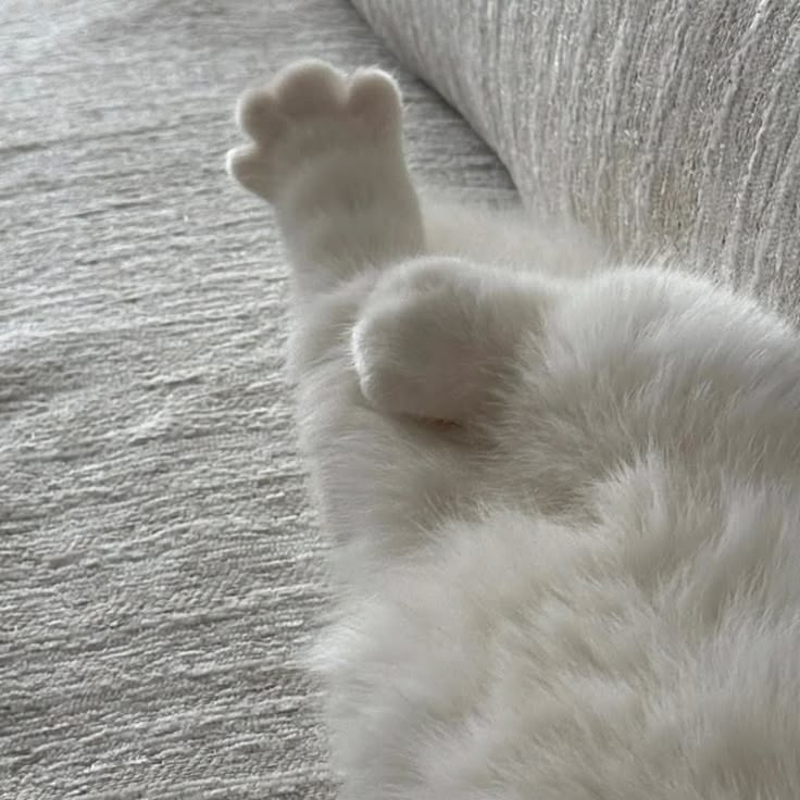 9c0db8154d3c4a7640a930c8b8703784