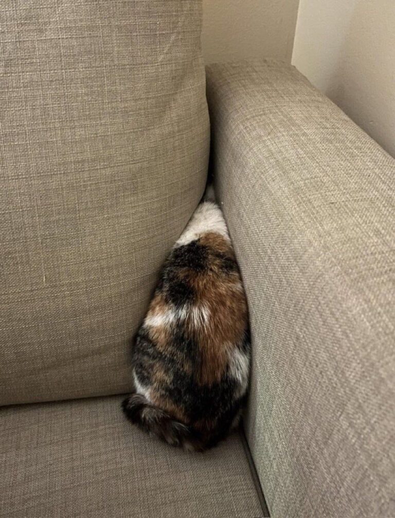 I'm terribly sooooorry